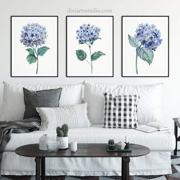 Hydrangea Art Print, Botanical Print Set of 3 Prints